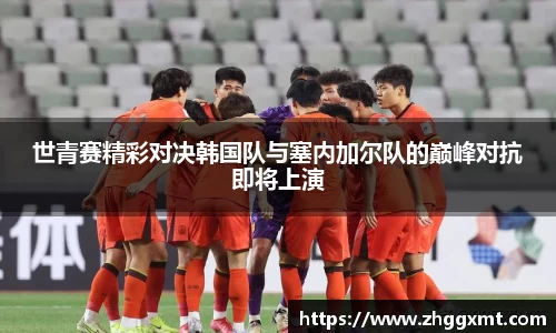 彩神VI官网